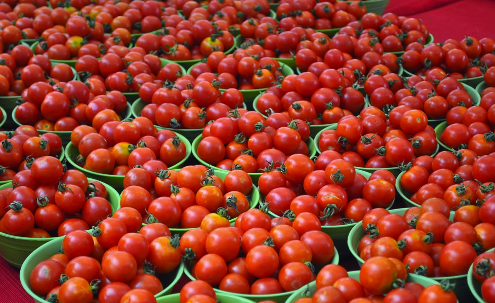 Prices Of Tomatoes, Pepper, Onions Reduce By 45% In Lagos Tomatoes