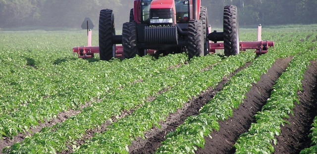 farm Farm