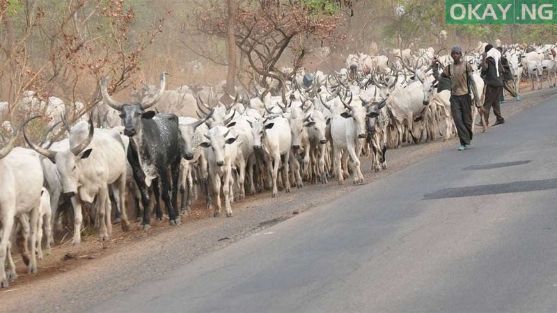Fulani Herdsmen