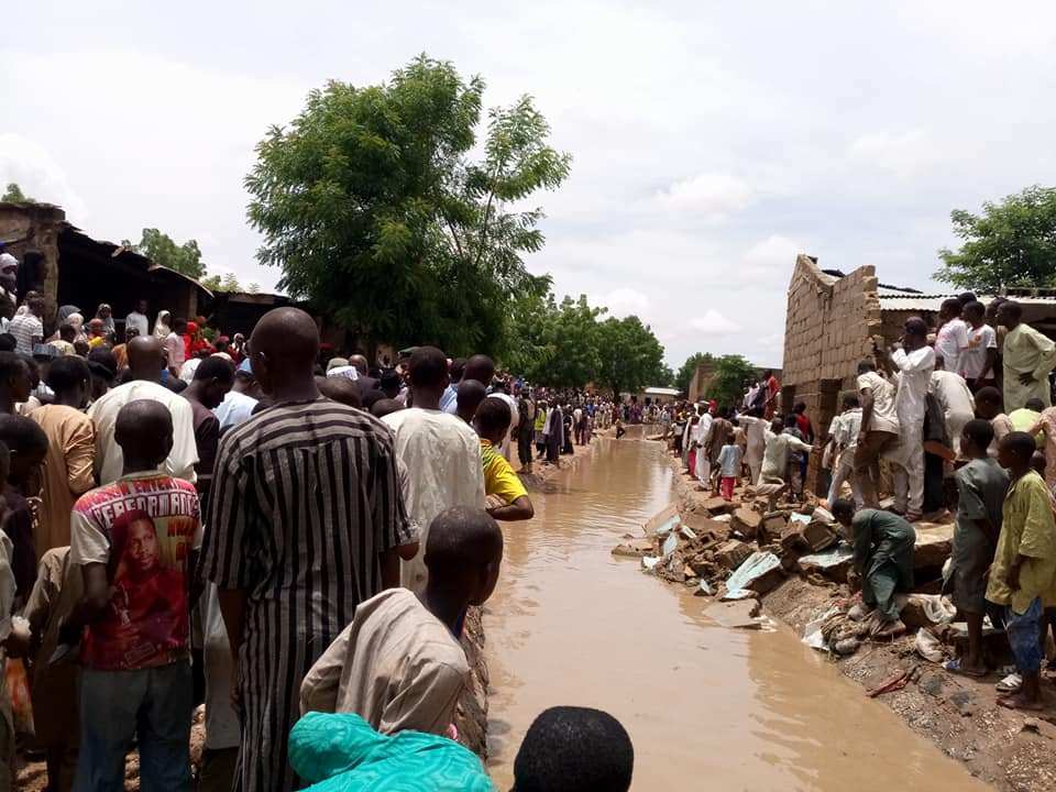 Jibia