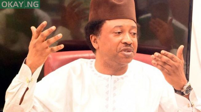 Shehu Sani