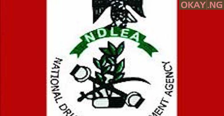 NDLEA logo