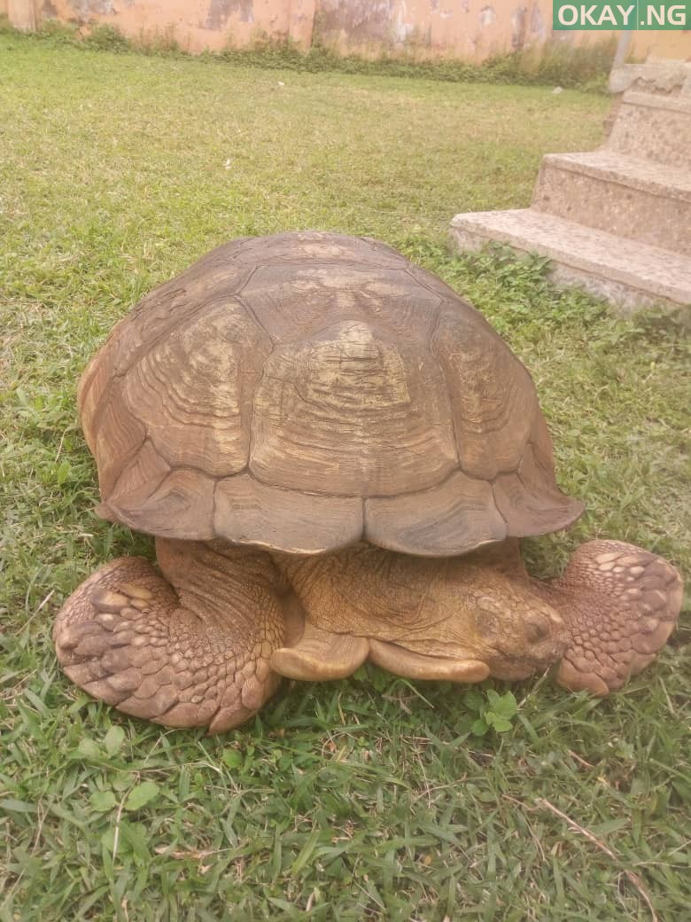 Alagba, 344-year-old Ogbomoso tortoise