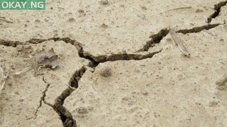 Earth Tremor