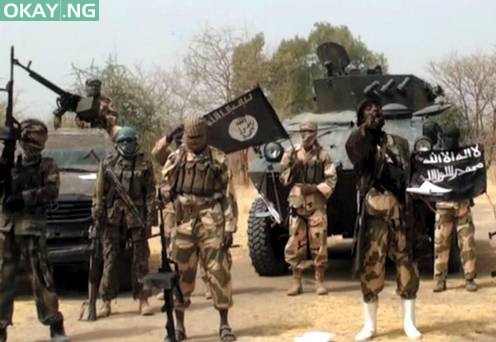 Boko Haram members attack Geidam Community, Yola