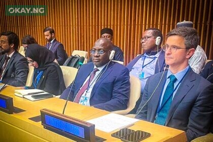 Muhammad Nami, Executive Chairman FIRS, at the 2023 ECOSOC Special Meeting on International Cooperation in Tax Matters at the United Nations Headquarters, New York, United States (March 31st, 2023).
